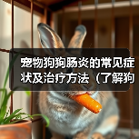 宠物狗狗肠炎的常见症状及治疗方法（了解狗狗肠炎，呵护宠物健康）（图4）