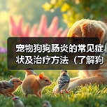 宠物狗狗肠炎的常见症状及治疗方法（了解狗狗肠炎，呵护宠物健康）（图3）