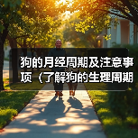 狗的月经周期及注意事项（了解狗的生理周期，关注宠物健康）（图3）
