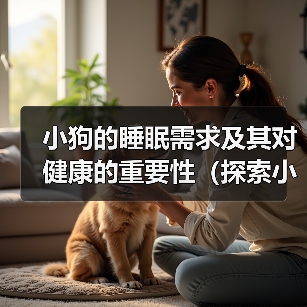 小狗的睡眠需求及其对健康的重要性（探索小狗睡眠模式与健康之间的关系）（图4）