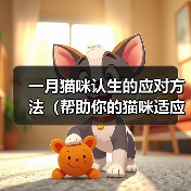 助力认生猫咪顺利融入新环境的实用方法