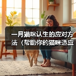一月猫咪认生的应对方法（帮助你的猫咪适应新环境）（图3）