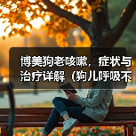 老年博美狗咳嗽的主要原因及护理方法