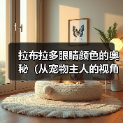 拉布拉多眼睛颜色的奥秘（从宠物主人的视角探讨拉布拉多眼睛的颜色变化）（图2）