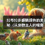 拉布拉多眼睛颜色的奥秘（从宠物主人的视角探讨拉布拉多眼睛的颜色变化）（图4）