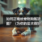 狗狗项圈正确佩戴方法与注意事项