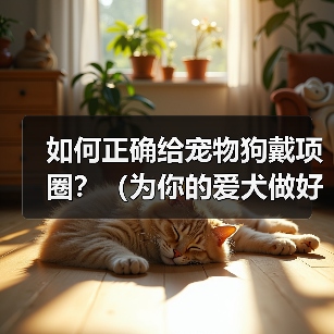 如何正确给宠物狗戴项圈？（为你的爱犬做好这些准备！）（图2）