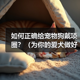 如何正确给宠物狗戴项圈？（为你的爱犬做好这些准备！）（图4）
