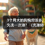 3个月大的狗狗应该多久洗一次澡？（洗澡频率对3个月大的狗狗的健康有何影响？）（图4）