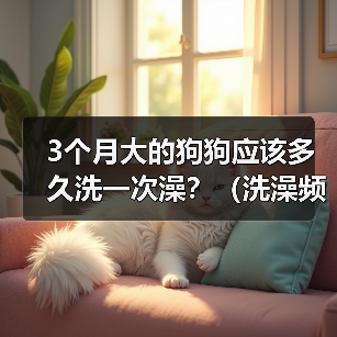 3个月大的狗狗应该多久洗一次澡？（洗澡频率对3个月大的狗狗的健康有何影响？）（图1）