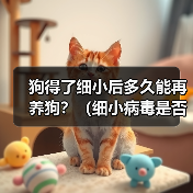 狗得了细小后多久能再养狗？（细小病毒是否会对新养的狗造成影响？）（图4）