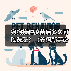 狗狗接种疫苗后多久可以洗澡？（养狗新手必知，打完针后的洗澡时间安排！）（图4）