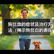 狗贫血的症状及治疗方法(揭示狗贫血的表现,提供有效的治疗方法)(图2) 狗贫血的症状及治疗方法(揭示狗贫血的表现,提供有效的治疗方法)(图2)