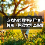 宠物狗的品种多样性与特点(探索世界上最受欢迎的狗狗品种)(图4) 宠物狗的品种多样性与特点(探索世界上最受欢迎的狗狗品种)(图4)