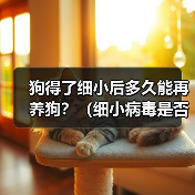 狗得了细小后多久能再养狗？（细小病毒是否会对新养的狗造成影响？）（图3）