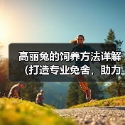 高丽兔科学饲养方法指导：环境与营养关键