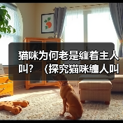 猫咪为何老是缠着主人叫？（探究猫咪缠人叫的原因及如何应对）（图4）