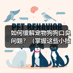 如何缓解宠物狗狗口臭问题？（掌握这些小技巧，让狗狗口气清新舒适）（图3）