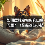 如何缓解宠物狗狗口臭问题？（掌握这些小技巧，让狗狗口气清新舒适）（图4）