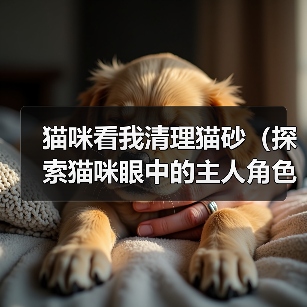 清理猫砂建立亲密关系的10个技巧