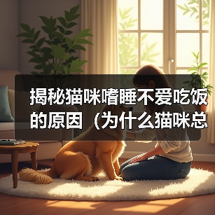 揭秘猫咪嗜睡不爱吃饭的原因（为什么猫咪总是懒洋洋的？为什么猫咪不爱吃饭？）（图4）