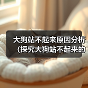 大狗站不起来的常见原因及科学诊断对策