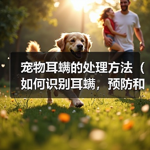 宠物耳螨的处理方法（如何识别耳螨，预防和治疗）（图4）