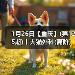 1月26日【重庆】(第125期)丨犬猫外科(高阶)班！含SUB(人人可实操)、乳糜胸等技术！（图3）