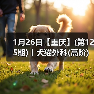 高阶外科实操班SUB耗材实践 高难度技能提升
