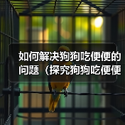 狗狗吃便便原因解析及科学矫正方法