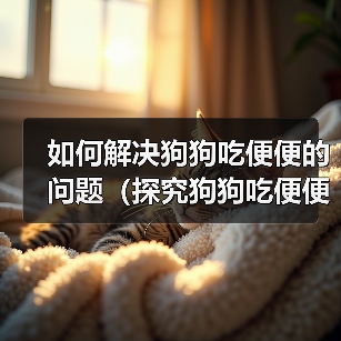 如何解决狗狗吃便便的问题（探究狗狗吃便便的原因及矫正方法）（图2）