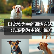 以宠物为主的训练方法（以宠物为主的训练方法）（图3）