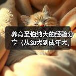 养育大熊狗圣伯纳犬的15个注意事项