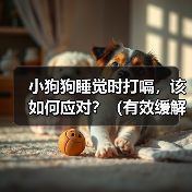 小狗狗睡觉时打嗝，该如何应对？（有效缓解小狗狗打嗝的方法）（图2）