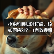 小狗狗睡觉时打嗝，该如何应对？（有效缓解小狗狗打嗝的方法）（图4）