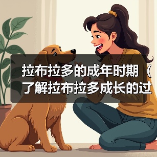 拉布拉多的成年时期（了解拉布拉多成长的过程，让它健康快乐地成年）（图3）