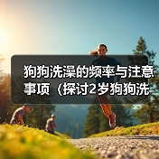 狗狗洗澡的频率与注意事项（探讨2岁狗狗洗澡的最佳频率和正确方法）（图4）