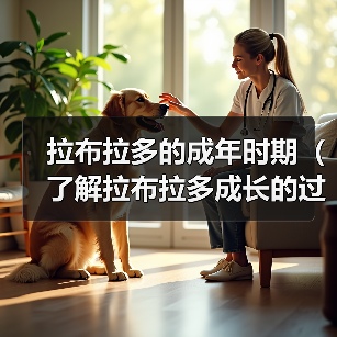 拉布拉多的成年时期（了解拉布拉多成长的过程，让它健康快乐地成年）（图4）