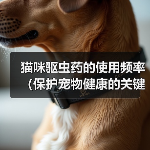 猫咪驱虫药的使用频率（保护宠物健康的关键措施）（图4）