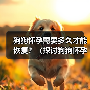 狗狗怀孕需要多久才能恢复？（探讨狗狗怀孕后的恢复周期与关键因素）（图4）