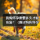 狗狗怀孕需要多久才能恢复？（探讨狗狗怀孕后的恢复周期与关键因素）（图3）