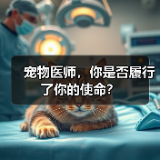 宠物医师，你是否履行了你的使命？（图4）