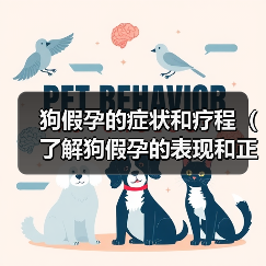 狗假孕的症状和疗程（了解狗假孕的表现和正确处理方式，帮助你的宠物恢复正常）（图3）