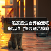 一般家庭适合养的宠物狗品种（探寻适合家庭的宠物狗品种，找到最合适的伙伴）（图1）