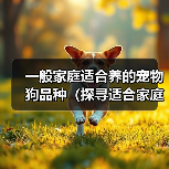 一般家庭适合养的宠物狗品种（探寻适合家庭的宠物狗品种，找到最合适的伙伴）（图4）