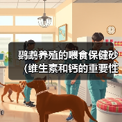 鹦鹉养殖的喂食保健砂（维生素和钙的重要性）（图4）