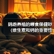 鹦鹉养殖的喂食保健砂（维生素和钙的重要性）（图3）