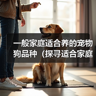 一般家庭适合养的宠物狗品种（探寻适合家庭的宠物狗品种，找到最合适的伙伴）（图3）