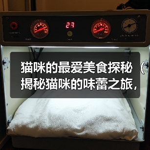 猫咪的最爱美食探秘(揭秘猫咪的味蕾之旅,这些食物能俘获它们的心()(图3) 猫咪的最爱美食探秘(揭秘猫咪的味蕾之旅,这些食物能俘获它们的心()(图3)