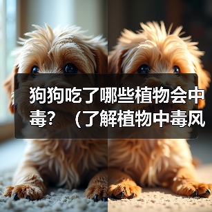 狗狗吃了哪些植物会中毒?(了解植物中毒风险,保护爱犬健康)(图4) 狗狗吃了哪些植物会中毒?(了解植物中毒风险,保护爱犬健康)(图4)